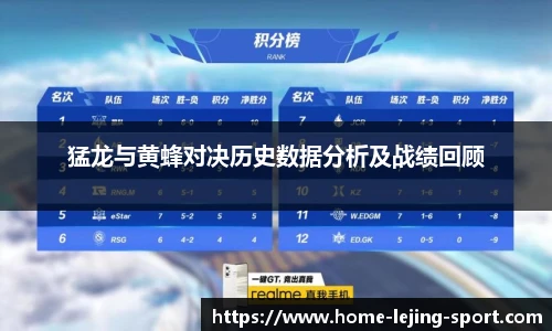 猛龙与黄蜂对决历史数据分析及战绩回顾